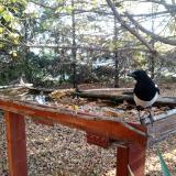 photo 2022-10-20 08-26-23