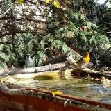 photo 2022-10-19 11-21-21 vv