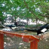 photo 2022-06-03 13-33-51