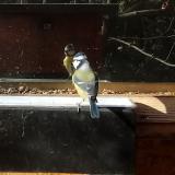 photo 2023-01-06 10-26-19