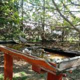 photo 2022-04-12 09-56-02