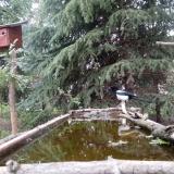 photo 2023-04-06 18-26-20