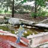 photo 2022-05-06 10-24-03 szencinege