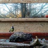 photo 2022-02-03 16-07-28