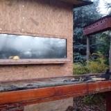 photo 2022-11-13 06-31-57