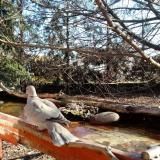 photo 2022-02-20 09-34-19