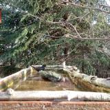 photo 2023-03-13 08-04-02