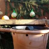 photo 2023-12-29 11-11-32