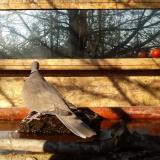 photo 2022-02-14 09-13-46