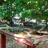 photo 2022-05-12 16-26-43