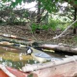 photo 2022-05-06 12-52-02 szencinege