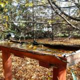 photo 2022-10-23 11-31-55