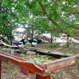 photo 2022-05-23 12-24-47