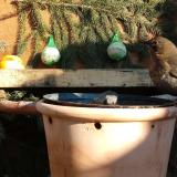 photo 2024-01-11 13-15-36