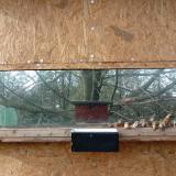 photo 2023-01-24 13-01-49