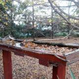 photo 2022-10-20 16-56-21