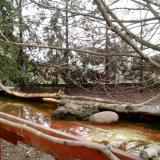 photo 2022-02-21 08-46-34