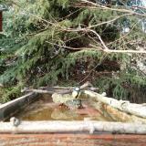 photo 2023-03-13 15-36-50