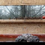 photo 2022-02-01 13-56-05