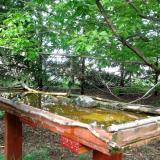 photo 2022-04-28 16-14-28