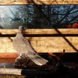 photo 2022-02-03 09-05-15