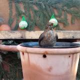 photo 2024-01-26 08-42-34