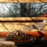 photo 2022-02-11 09-18-35