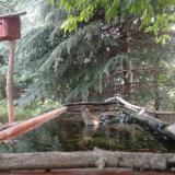 photo 2023-06-27 07-31-37