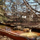 photo 2022-02-15 11-36-53