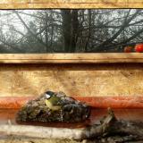 photo 2022-02-06 09-49-15