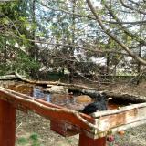 photo 2022-04-06 12-39-55