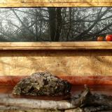 photo 2022-02-06 10-09-50