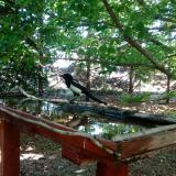 photo 2022-06-03 10-37-48