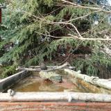 photo 2023-03-13 15-33-28