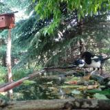 photo 2023-05-23 10-30-24