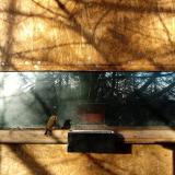 photo 2023-01-17 08-39-46