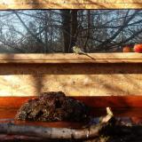 photo 2022-02-05 10-41-40