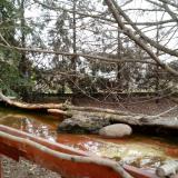 photo 2022-02-21 08-46-23