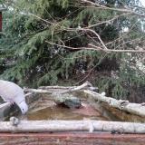 photo 2023-03-13 17-23-29