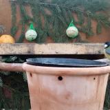 photo 2024-01-13 09-15-21