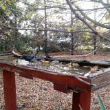 photo 2022-10-22 07-47-38