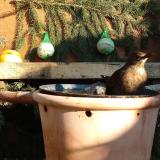 photo 2024-01-11 13-16-28