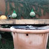 photo 2024-01-08 09-31-12