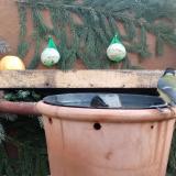 photo 2023-12-30 08-48-37