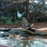 photo 2022-10-16 17-22-07