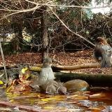 photo 2022-10-24 12-31-07