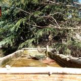 photo 2023-03-13 11-54-03