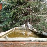 photo 2023-03-22 09-30-38