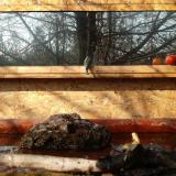 photo 2022-02-11 10-22-28