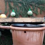 photo 2024-01-07 10-53-26